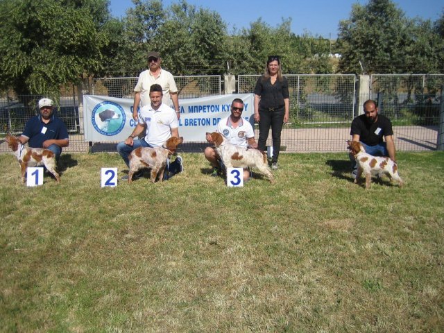 17th National Breed Show